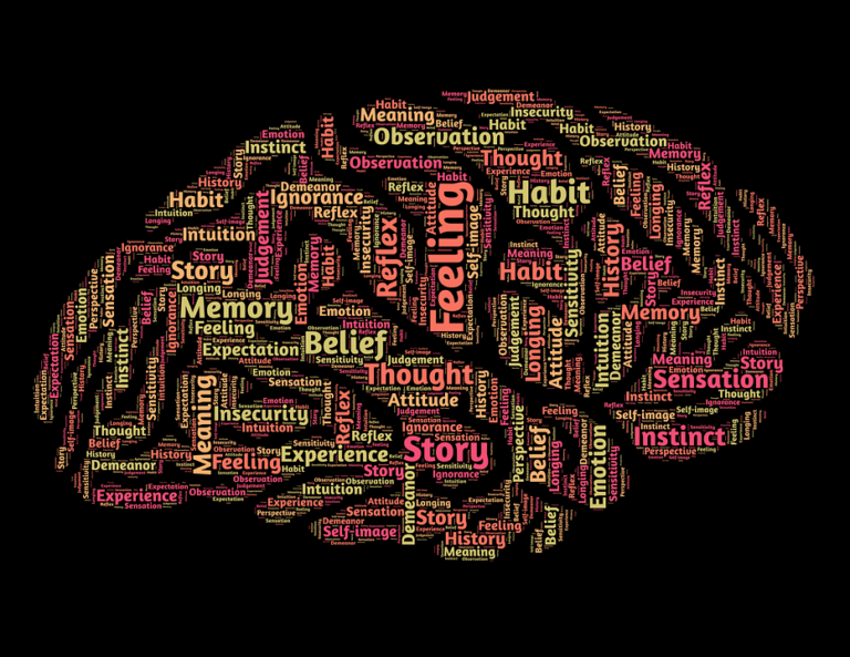 Children Brain Development 0-6 Years brain development