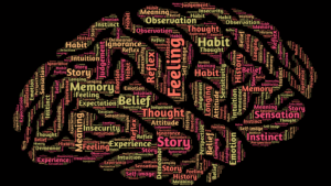 brain development